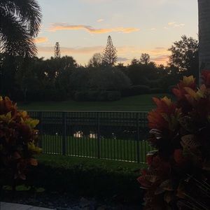 Meet your Posher, Jazmin